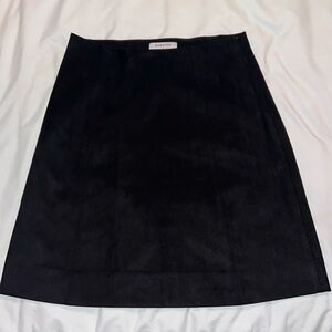 Aritzia skirt